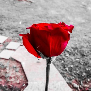 pictures of nashville tennessee